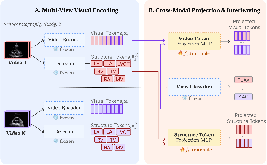 EchoSonar-R overview: multi-view visual and structure encoding followed by cross-modal projection of video and structure tokens