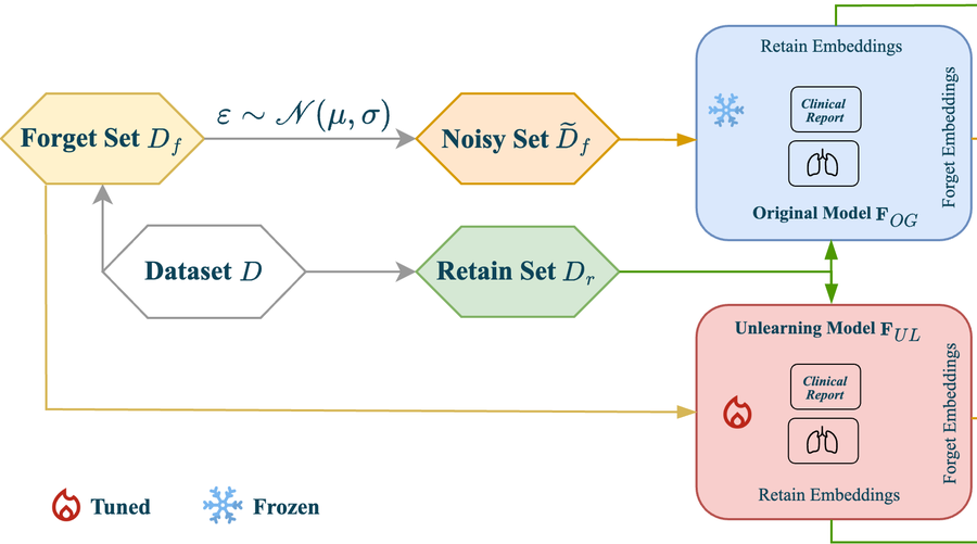 Forget-MI framework: forget, noisy and retain sets fed to the frozen original model and the tuned unlearning model