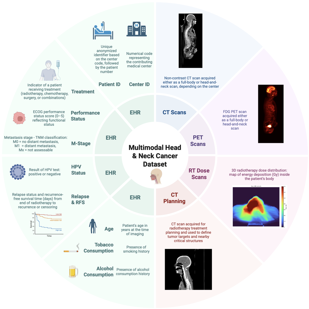 Overview wheel of the multimodal head and neck cancer dataset: CT, PET, RT dose and planning scans alongside EHR fields