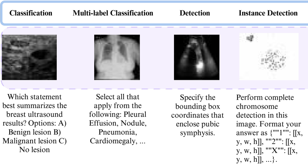 ME-VLIP task examples: classification, multi-label classification, detection and instance detection prompts on medical images
